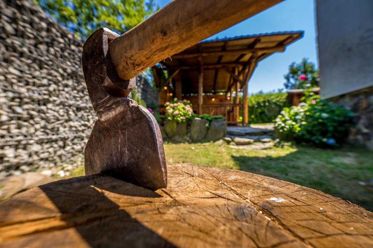 Casa De Vacanta Sadu エクステリア 写真